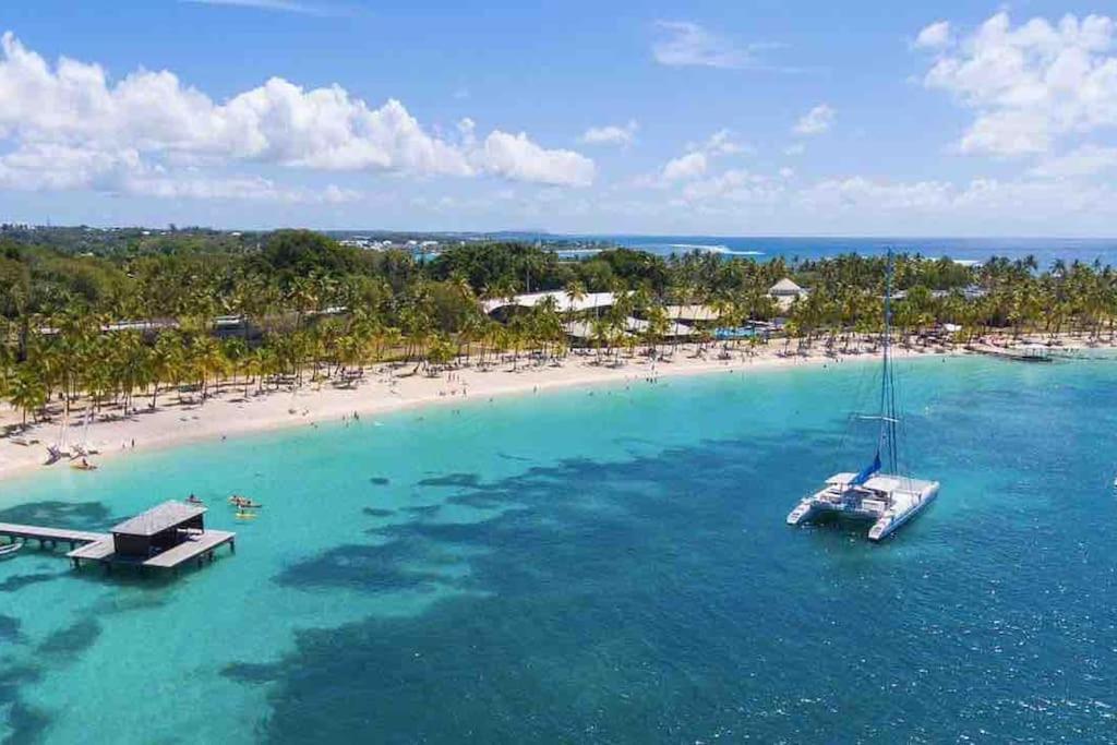 Le Sable Bleu - Evasion Tropicale A Sainte-Anne - Plage 5Min - Piscine - Parking - Logement Climatise - Vue Sur Les Palmiers - Parfait Pour Sejours En Famille Ou Entre Amis Extérieur photo