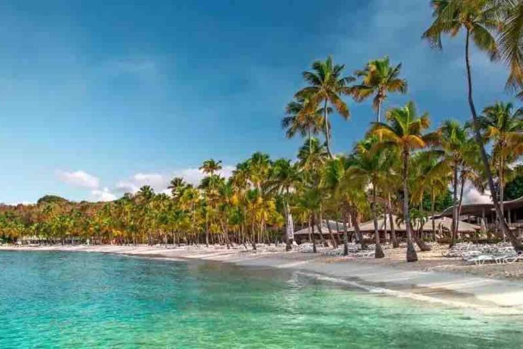 Le Sable Bleu - Evasion Tropicale A Sainte-Anne - Plage 5Min - Piscine - Parking - Logement Climatise - Vue Sur Les Palmiers - Parfait Pour Sejours En Famille Ou Entre Amis Extérieur photo