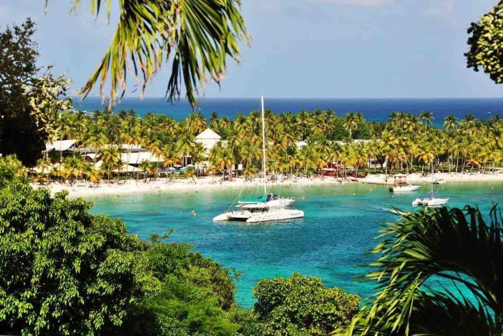 Le Sable Bleu - Evasion Tropicale A Sainte-Anne - Plage 5Min - Piscine - Parking - Logement Climatise - Vue Sur Les Palmiers - Parfait Pour Sejours En Famille Ou Entre Amis Extérieur photo