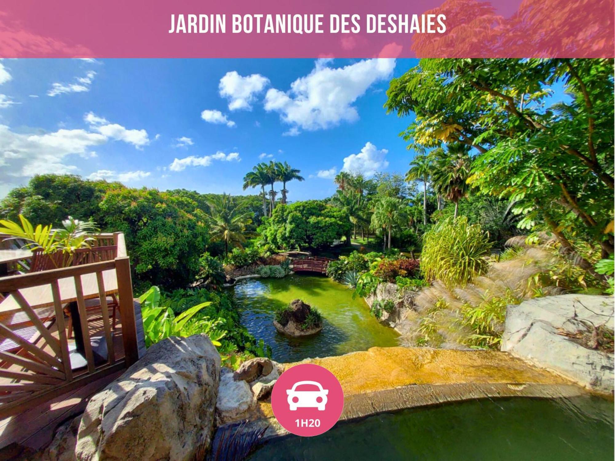 Le Sable Bleu - Evasion Tropicale A Sainte-Anne - Plage 5Min - Piscine - Parking - Logement Climatise - Vue Sur Les Palmiers - Parfait Pour Sejours En Famille Ou Entre Amis Extérieur photo