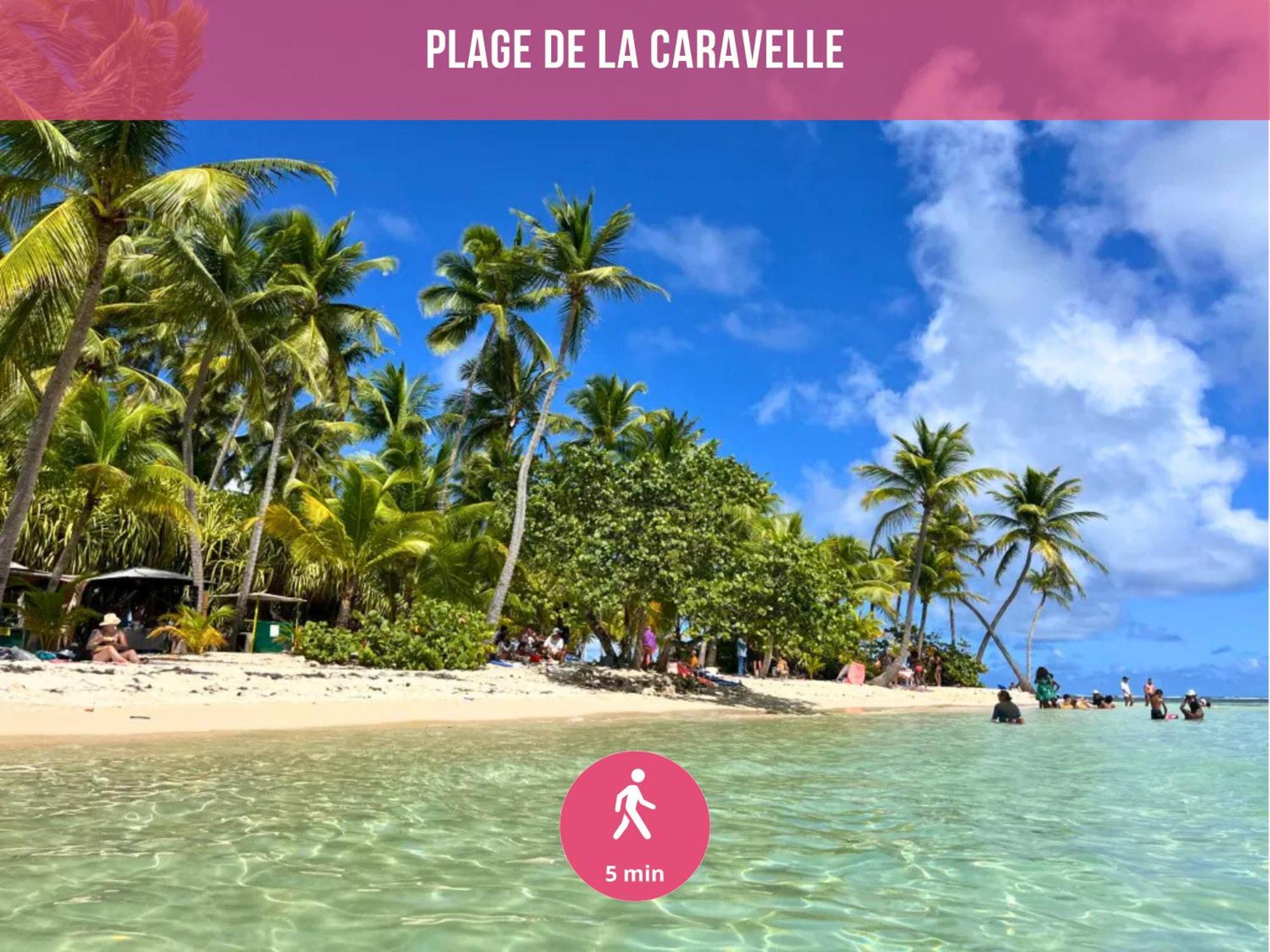Le Sable Bleu - Evasion Tropicale A Sainte-Anne - Plage 5Min - Piscine - Parking - Logement Climatise - Vue Sur Les Palmiers - Parfait Pour Sejours En Famille Ou Entre Amis Extérieur photo